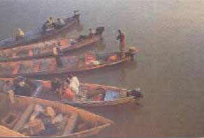 صيادي الاسماك