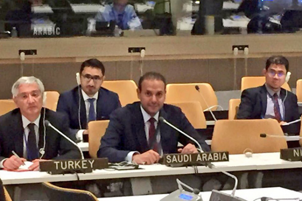 الدكتور خالد منزلاوي - القائم بأعمال وفد المملكة الدائم لدى الأمم المتحدة بالإنابة