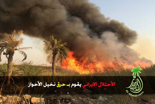 العدو الايراني يحرق نخيل الأحواز